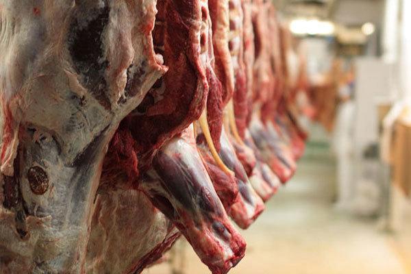 قیمت روز گوشت گوساله و گوسفندی چقدر است؟