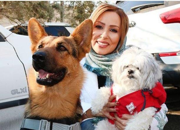 تولد لاکچری پرستو صالحی برای سگ هایش+عکس جنجالی