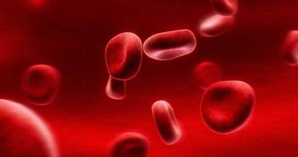درمان سریع کم خونی در خانه+جزئیات