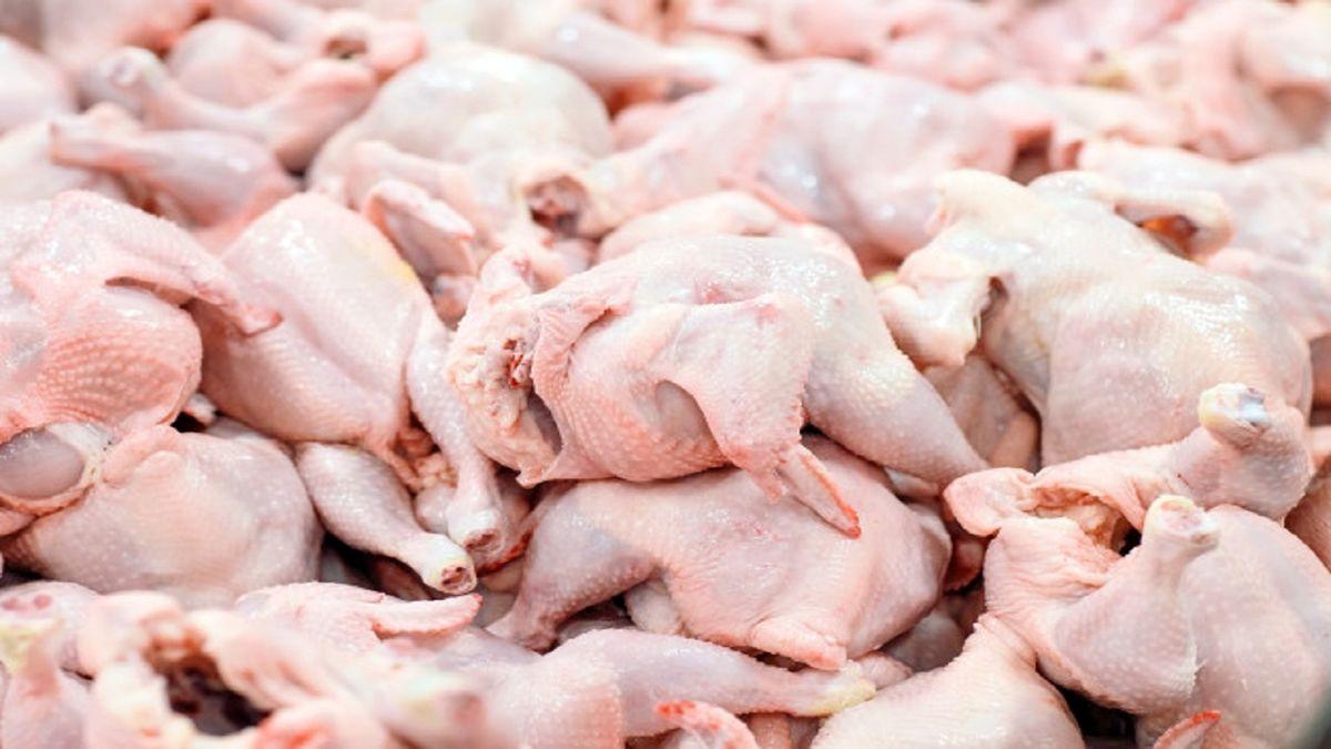 قیمت مرغ در بازار چهارشنبه 1 شهریور ۱۴۰2 | قیمت مرغ منجمد شد