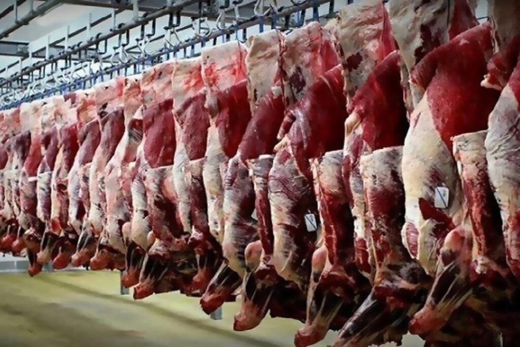 جدیدترین تغییرات قیمت گوشت قرمز در میادین | افزایش قیمت گوشت در بازار 