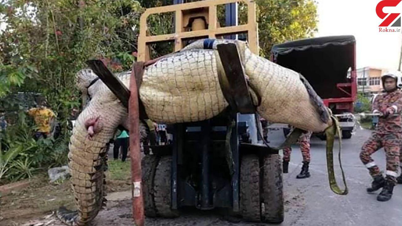 تمساح عظیم الجسته کودک 8 ساله را زنده زنده خورد!