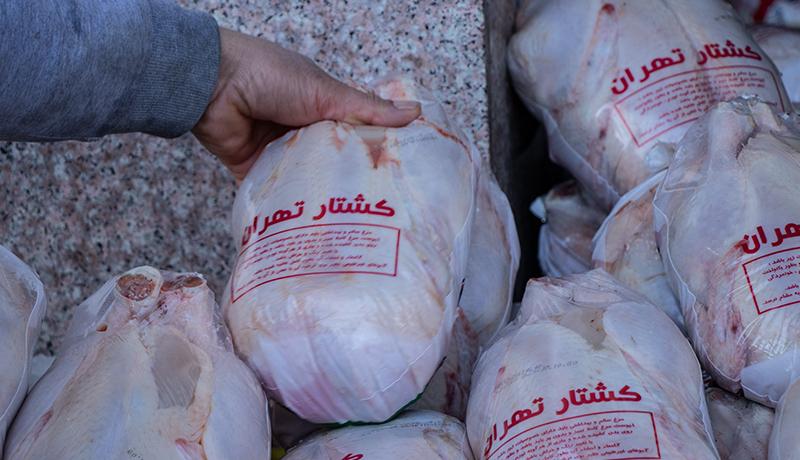 وضعیت قیمت مرغ در روز 13 بدر چگونه است؟