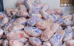 وضعیت قیمت مرغ در ماه رمضان چقدر است؟