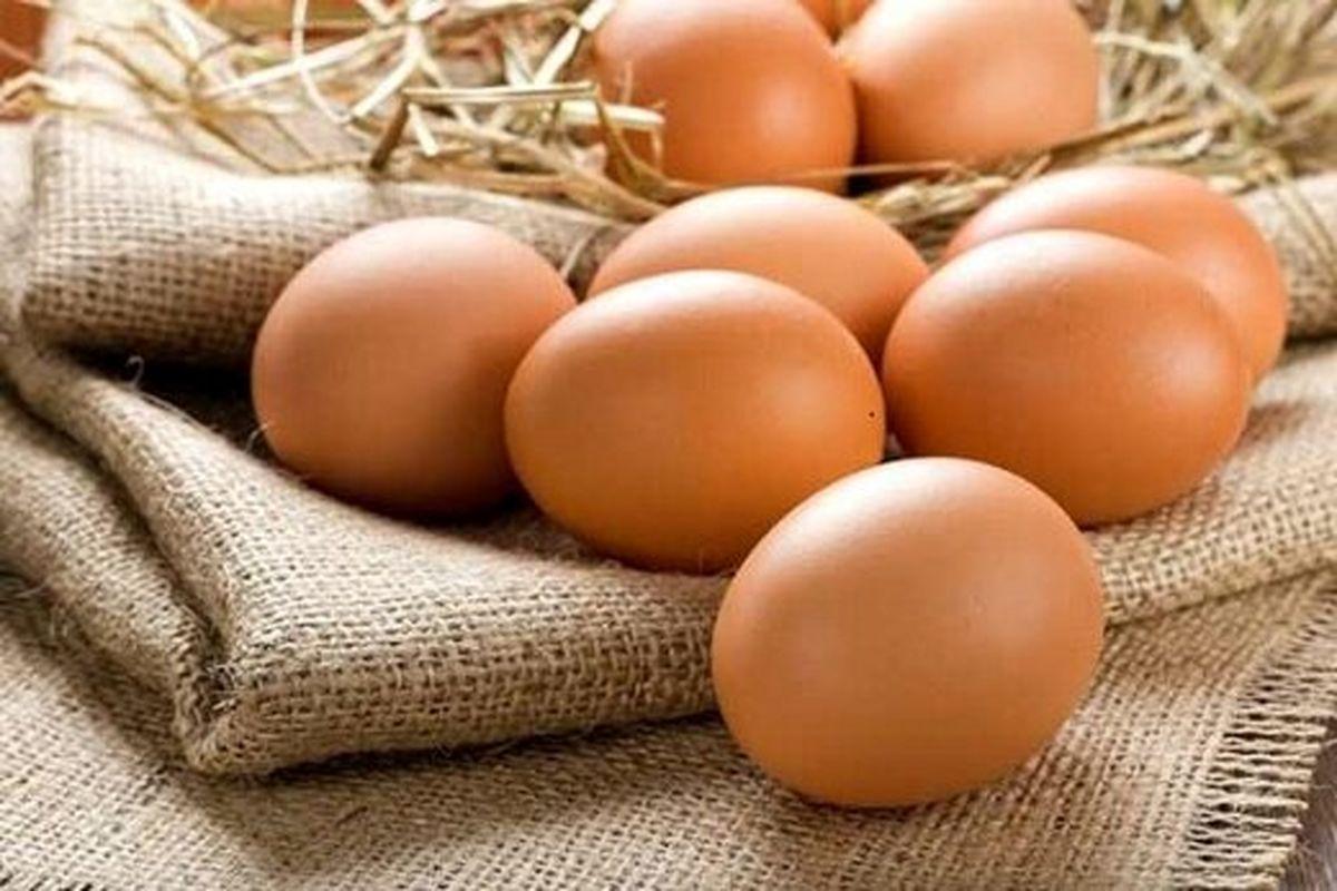 گرانی بی سابقه قیمت تخم‌مرغ | تخم‌مرغ دانه‌ای 3500 تومان
