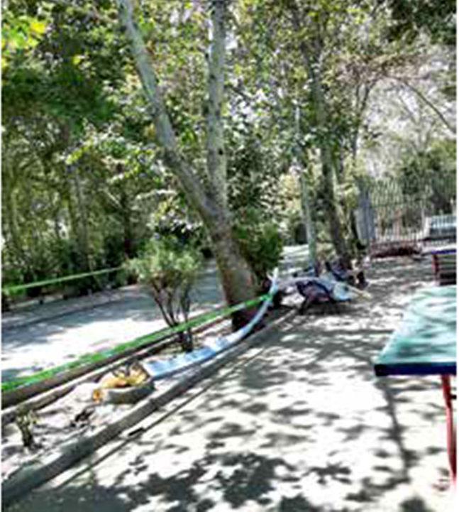 مرگ باور نکردنی پسربچه ی 12 ساله در پارک لاله!
