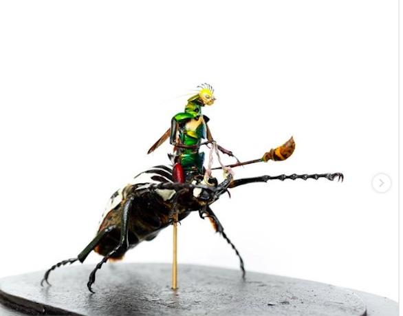 مجسمه های حیرت انگیزی که با حشرات مرده ساخته شده اند+ تصاویر