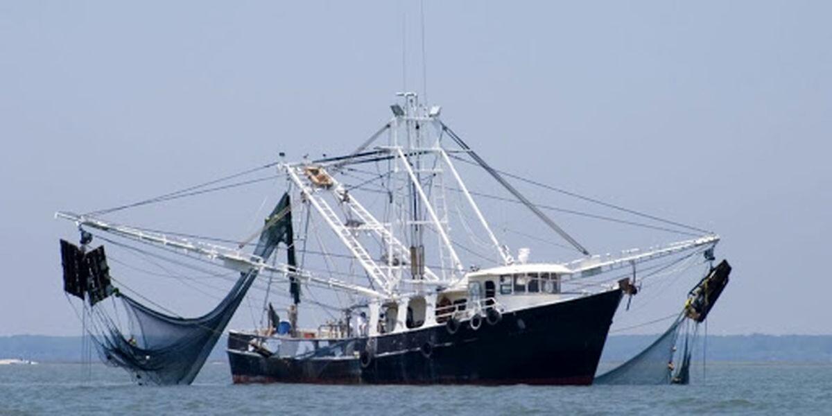 فعالیت غیرقانونی کشتی های چینی در دریای عمان لو رفت+عکس