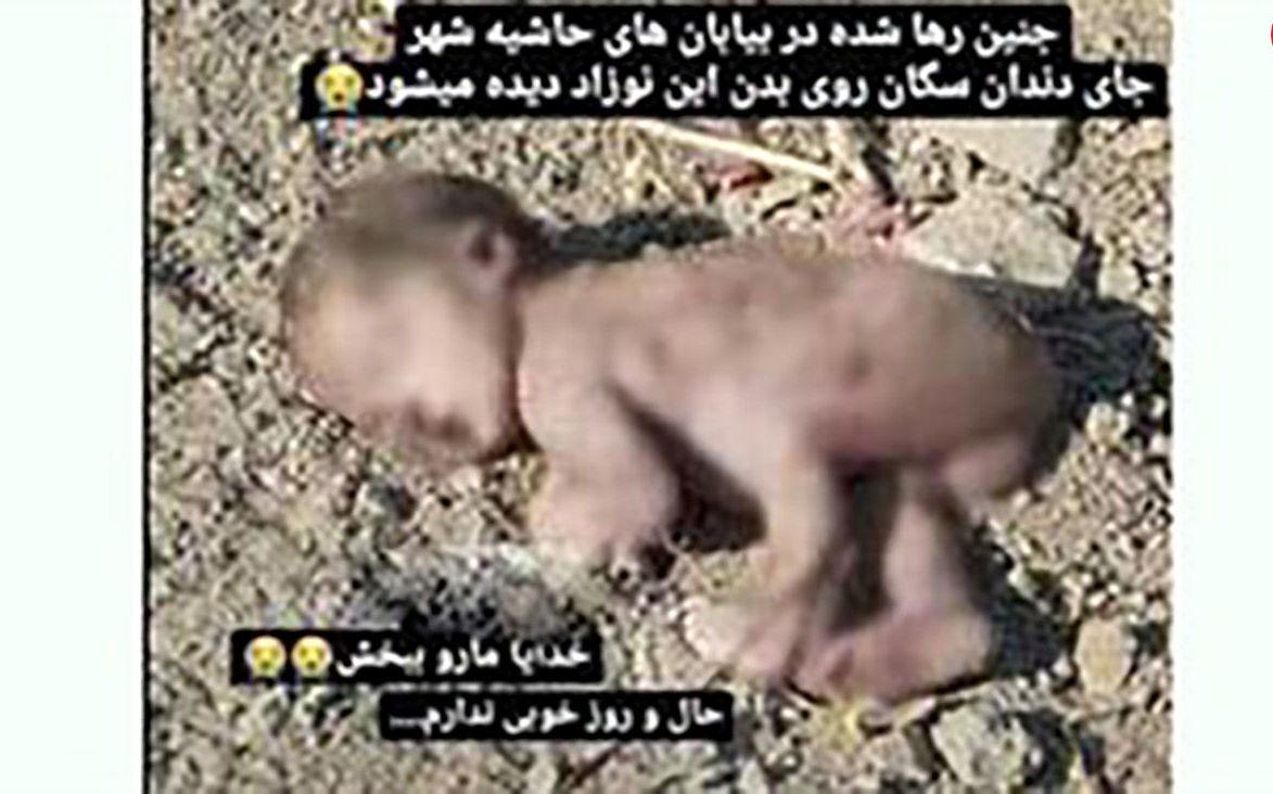 دریده شدن نوزاد بی پناه توسط سگ ها در بیابان های اصفهان!+عکس غم انگیز