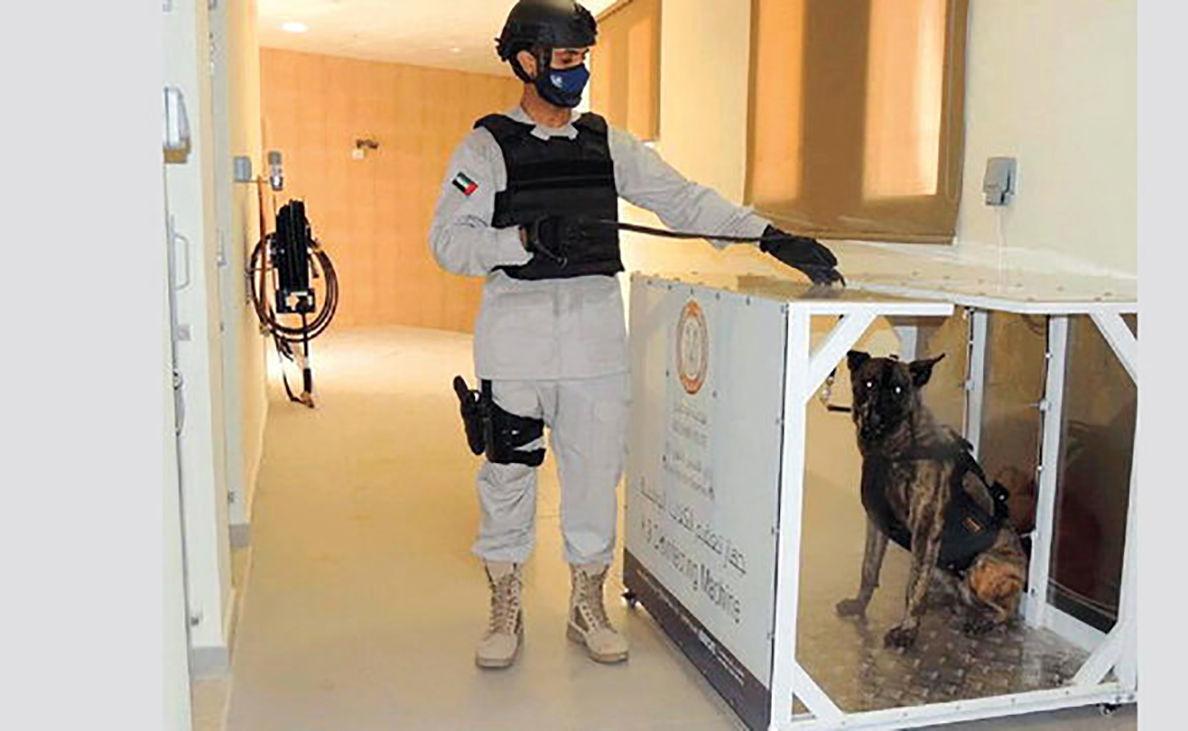 دولت امارات برای تشخیص افراد مبتلا به کرونا از سگ کرویاب استفاده می کنند!
