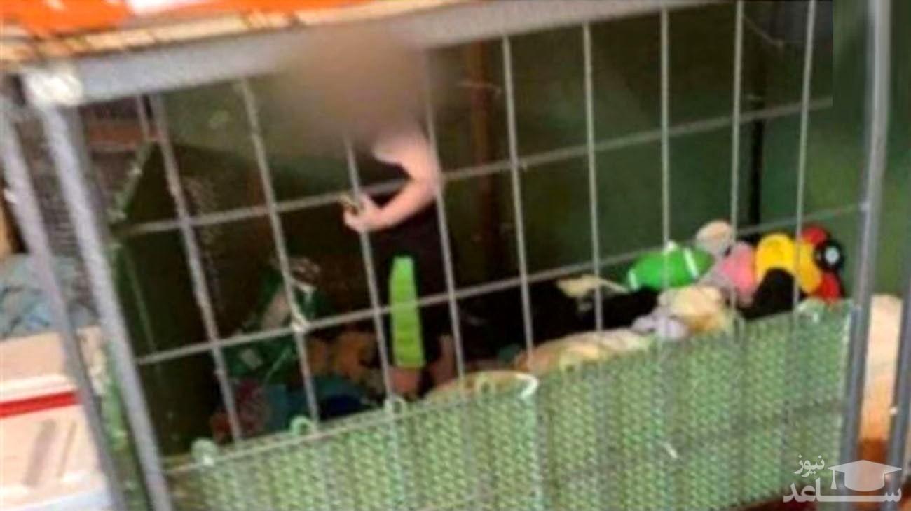 کودک 18ماهه ای که در قفس سگ نگهداری میشد+جزئیات